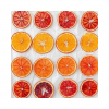 Dried Orange Slices