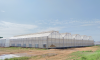 Modern Multi-span Plastic Film Greenhouse with climate control systems for year-round and efficient crop growing