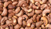 Spices