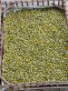 Chamomile Flowers