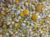 Chamomile Flowers