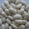 Best Quality Supplier black kidney Beans For Sale/Kidney Beans Export Black Kidney Beans Cheap Price