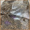 Wholesale Roasted Coffee Beans with High Quality Arabica Coffee Beans