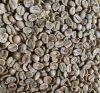 Wholesale Roasted Coffee Beans with High Quality Arabica Coffee Beans