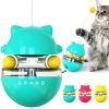 Cat Treat Dispenser Toy