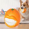 Orange Shape Pet Chew Toy