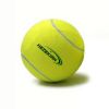 Training Tennis Ball