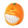 Orange Shape Pet Chew Toy