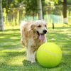 Training Tennis Ball