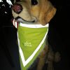 Reflective Pet Triangle Scarf