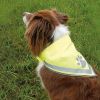 Reflective Pet Triangle Scarf
