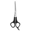 Stainless Steel Hair Scissors