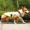 Summer Dog Cooling Vest