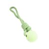 Pet Rope Ball Toy