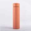 450ml Rubber Painting Insulated Tea Infuser Bottle