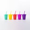 16 oz. Plastic Tumbler With Lid And Straw