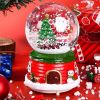 Custom Snow Globe