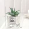 Mini Artificial Succulent Plant With Glass Pot