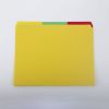 Colorful Plastic File Folder