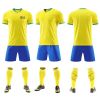 Customizable World Cup...