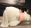 Whispers of the Wild: ...