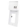 WALL PLATE W/ DUAL USB...