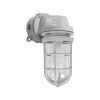 100 WATT INCANDESCENT ...