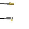 WASP SWITCHING SENSOR WITH DAYLI