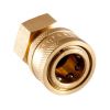 4200 PSI 3/8 F BRASS Q...