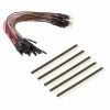 50 PACK ASSORTED COLOR 7" MALE T