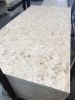 OSB Wall Panel for Con...