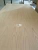Natural Beech Veneer L...