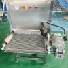 Garlic Peeling Machine Chain Type