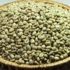 Robusta green coffee b...