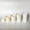 Paper Cups