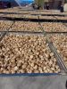 Fresh mushroom , Dried mushroom , Truffles, Black fungus , Agricultural products