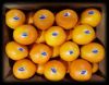 Chinese Navel