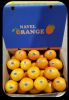 Chinese Navel