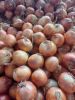 Organic  red and yellow onions