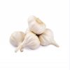 Top Quality Fresh Garlic