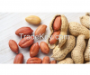 High grade non-GMO natural peanut groundnut bulk product natural raw peanuts for food