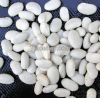 Wholesale White Kidney...