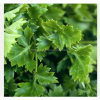 Organic Vegetables New...