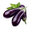 Fresh Eggplant