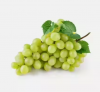Fresh Season Green Grapes
