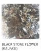 Dried black stone flower