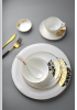 Bone Ceramic General C...