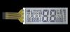 Segment LCD with FPC C...