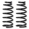 Suspension coil spring...