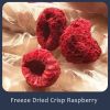 Bulk Freeze Dried Raspberry and Cranberry